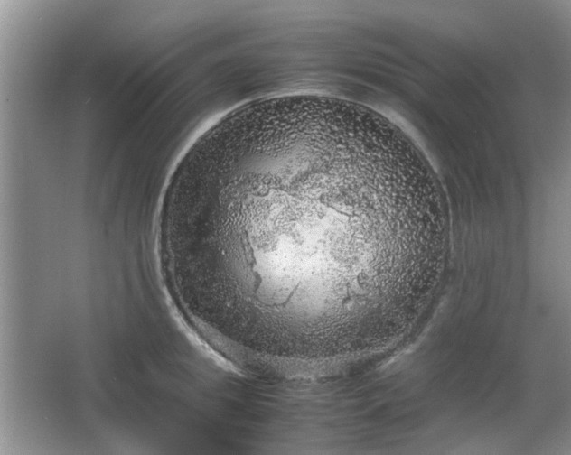 X0000067460949200604101129