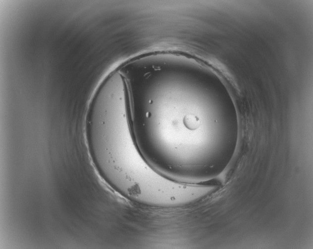 X0000067460950200604101129