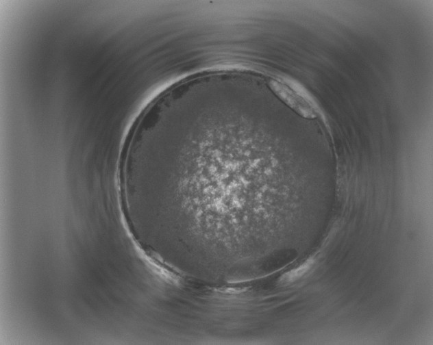 X0000067460951200604101129