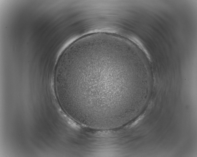 X0000067460952200604101129