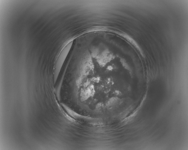 X0000067460953200604101129