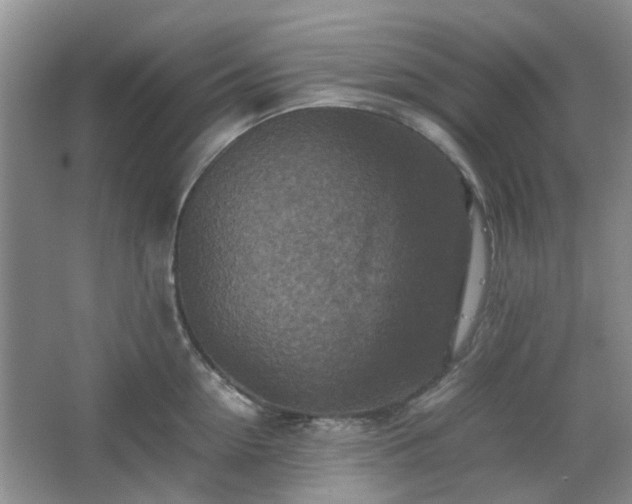 X0000067460954200604101129