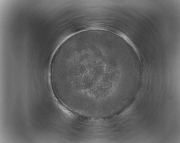 X0000067460955200604101129