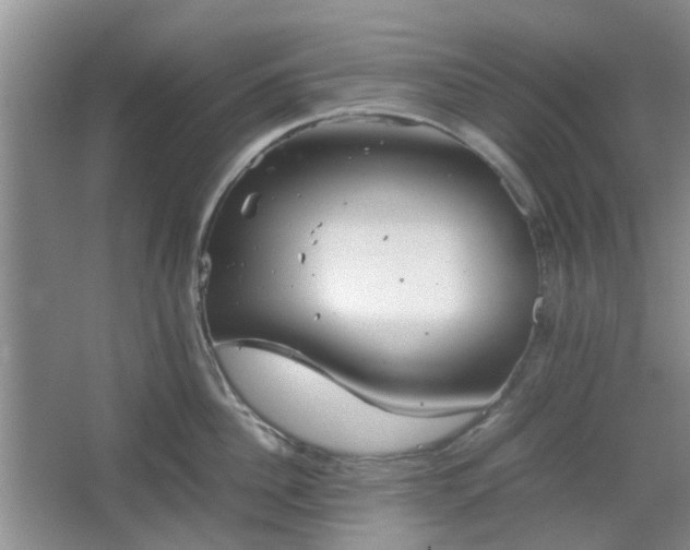 X0000067460956200604101129