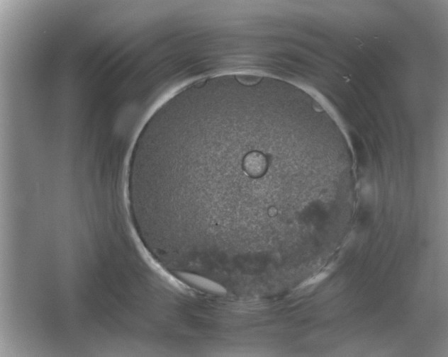 X0000067460957200604101129