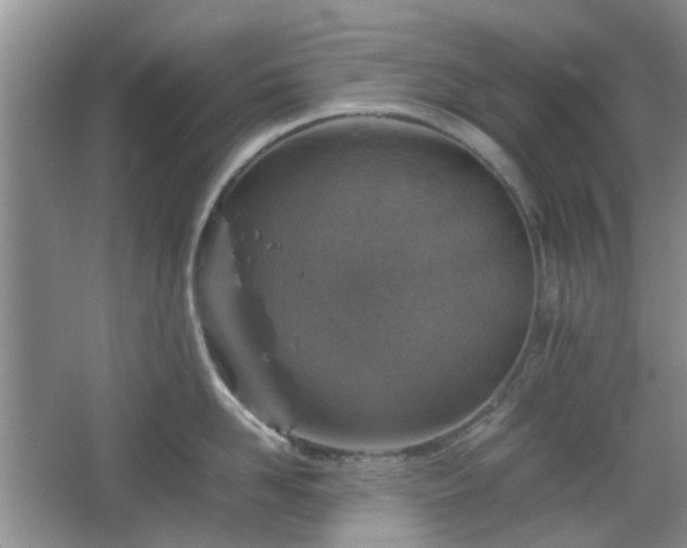 X0000067460958200604101129