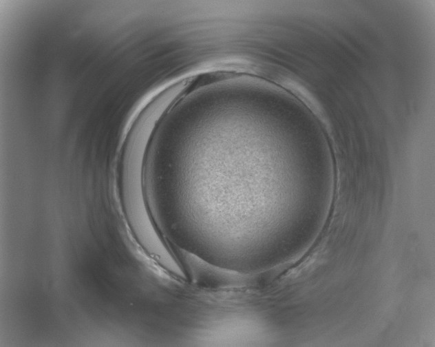 X0000067460960200604101129