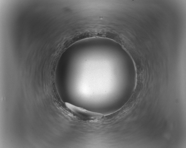 X0000067460961200604101129