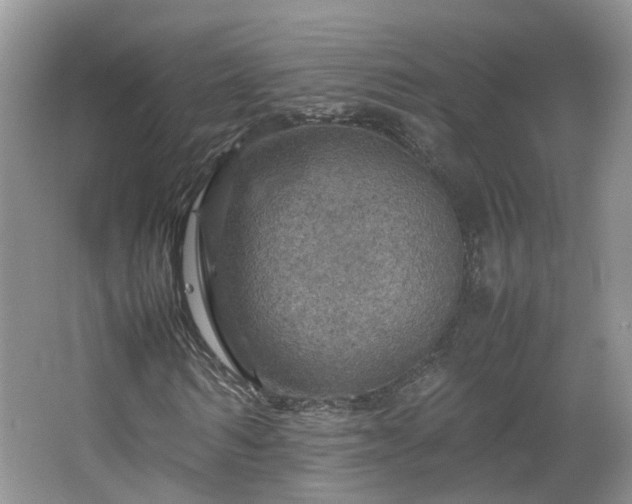 X0000067460962200604101129