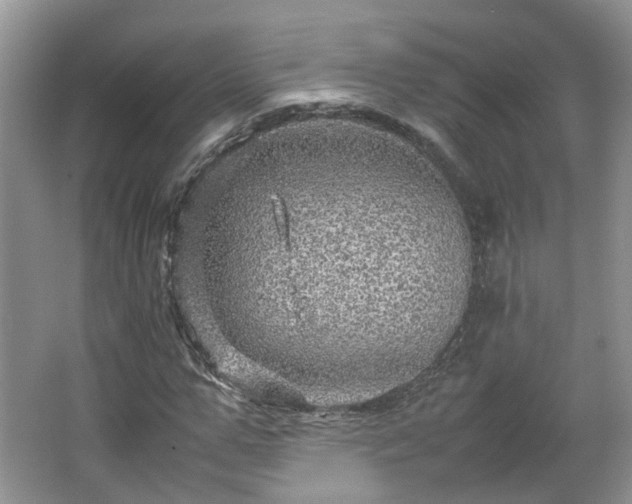 X0000067460967200604101129