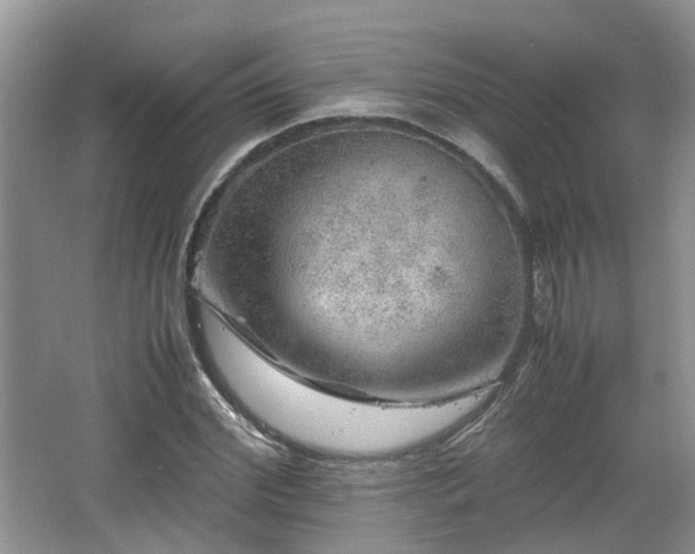 X0000067460972200604101128