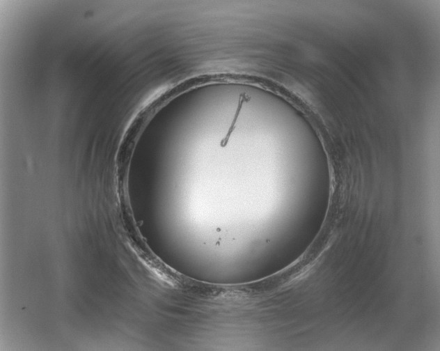 X0000067460974200604101128