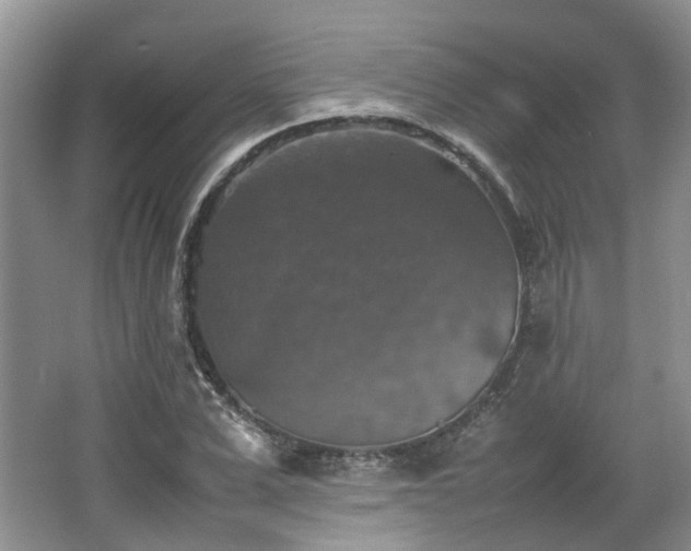 X0000067460975200604101128