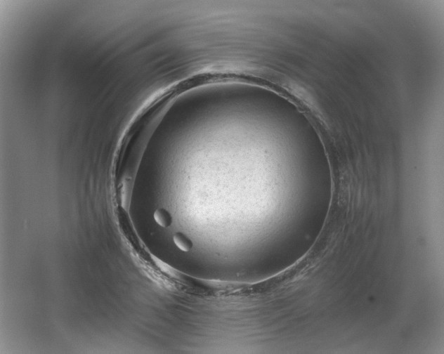 X0000067460976200604101128