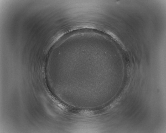 X0000067460977200604101128