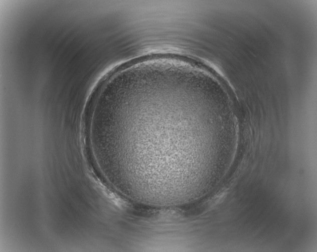 X0000067460979200604101128