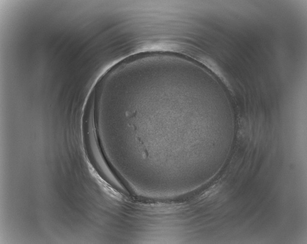 X0000067460980200604101128