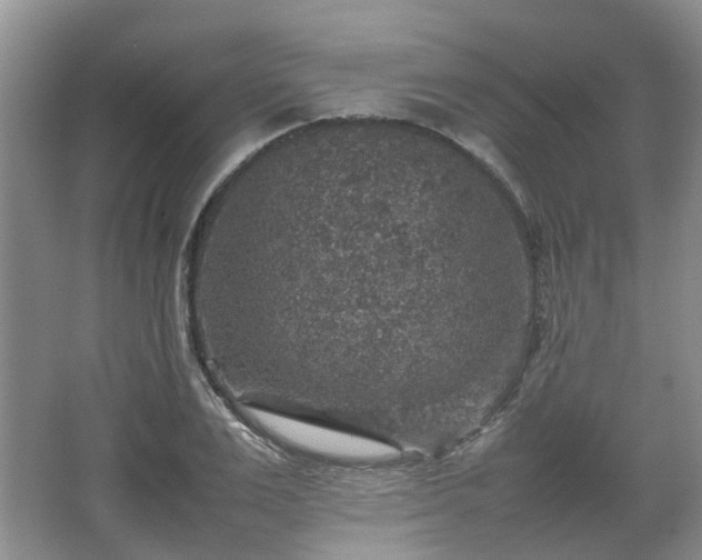 X0000067460983200604101128