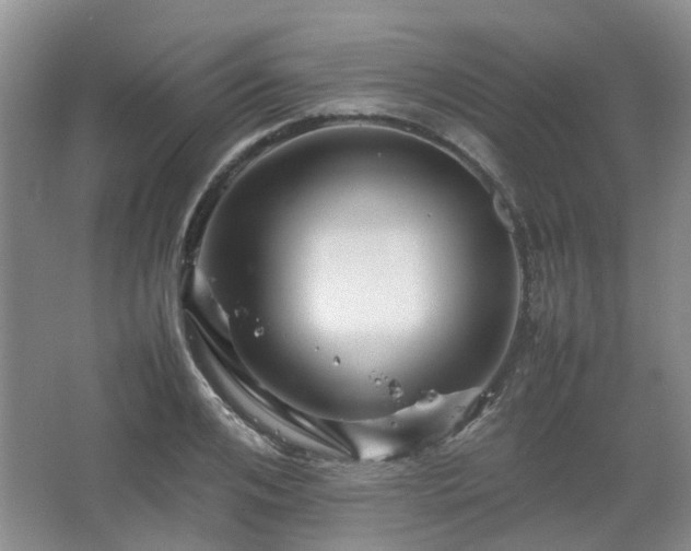 X0000067460984200604101128