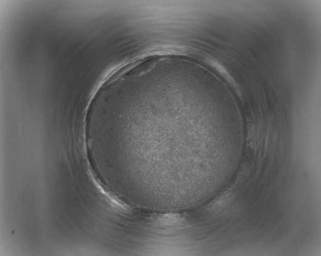 X0000067460986200604101128