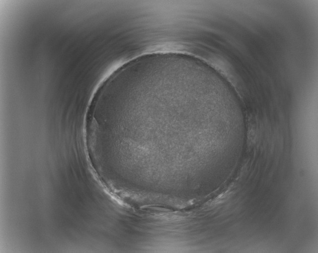 X0000067460990200604101128