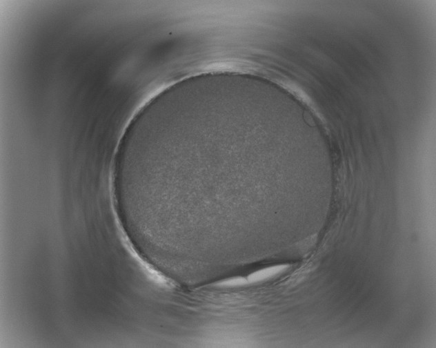 X0000067460991200604101128