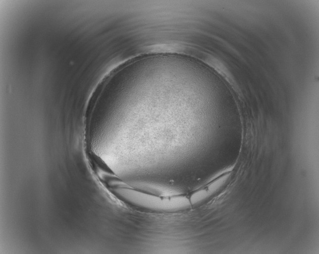 X0000067460992200604101128