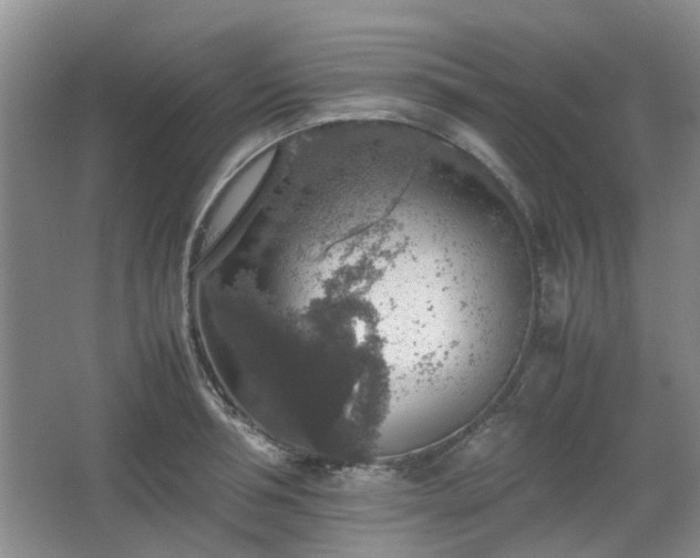 X0000067460994200604101128