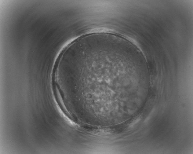 X0000067460995200604101128