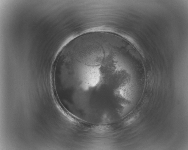 X0000067460998200604101128