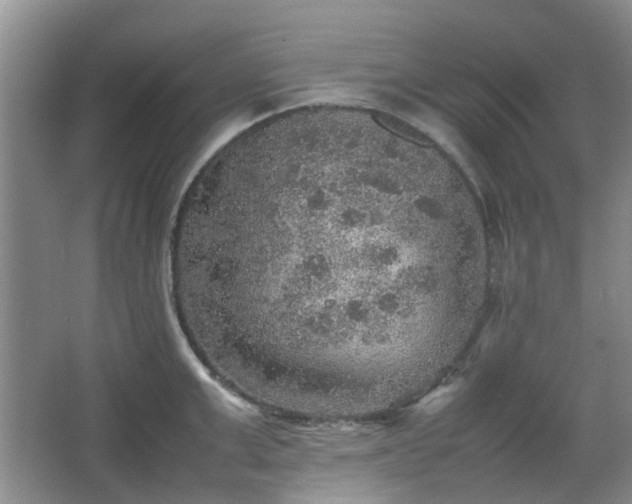 X0000067460999200604101128