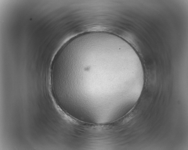 X0000067461000200604101128