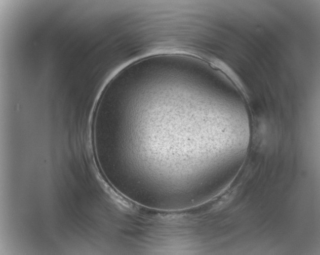 X0000067461004200604101128