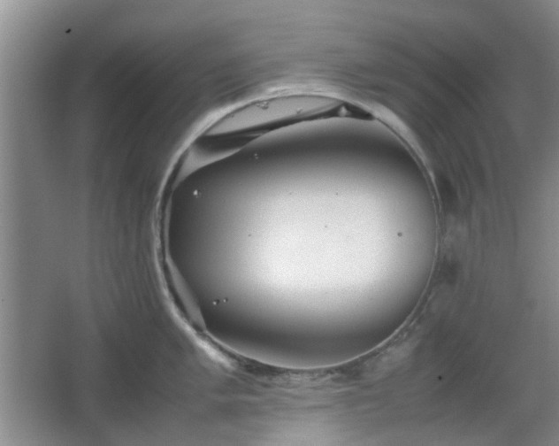 X0000067461005200604101128