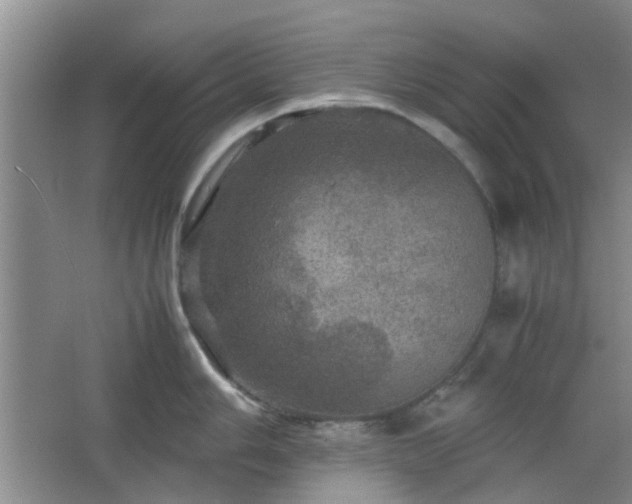 X0000067461006200604101128