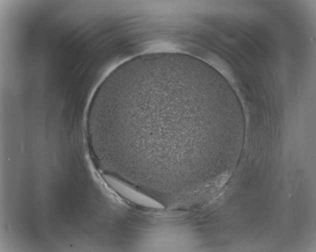 X0000067461008200604101128