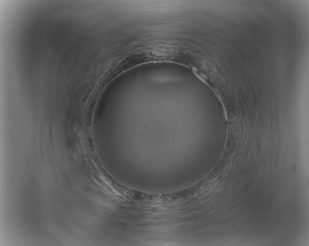 X0000067461009200604101127