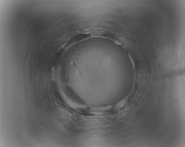 X0000067461010200604101127