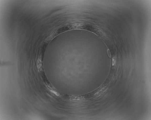 X0000067461011200604101127