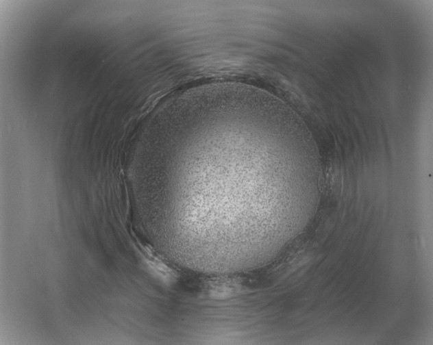 X0000067461012200604101127