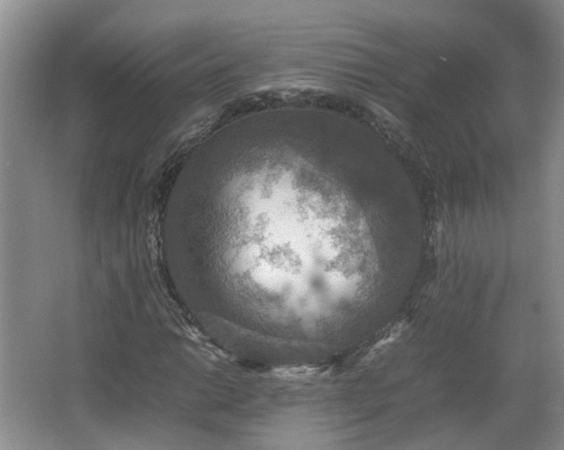 X0000067461014200604101127