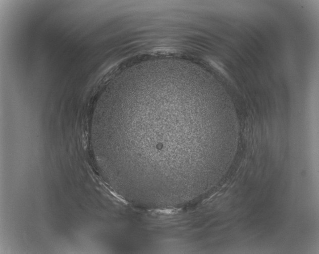 X0000067461015200604101127