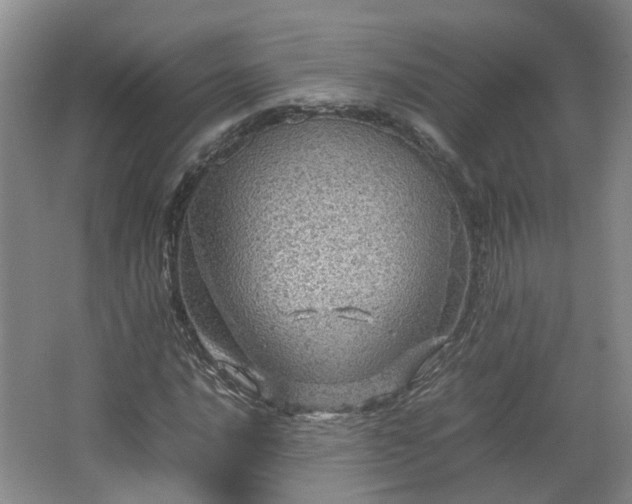 X0000067461016200604101127