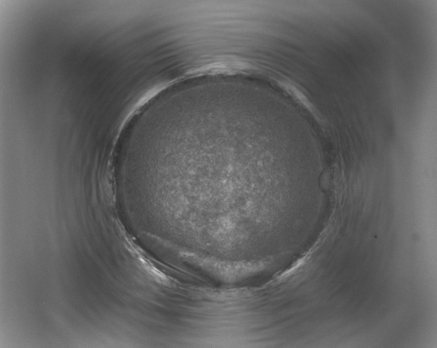 X0000067461018200604101127