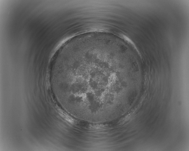 X0000067461019200604101127