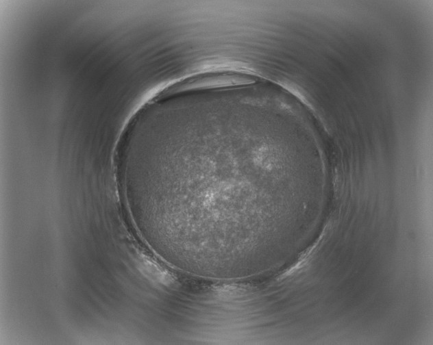 X0000067461022200604101127