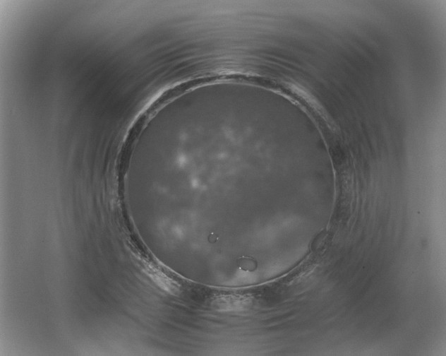 X0000067461023200604101127