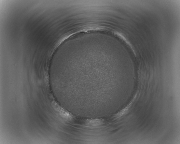 X0000067461025200604101127