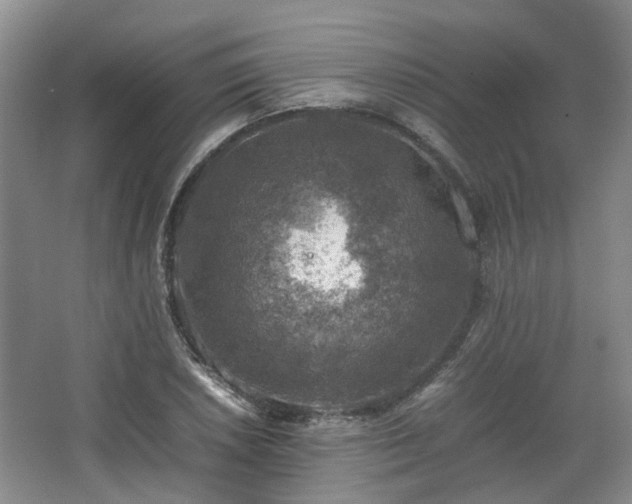 X0000067461026200604101127