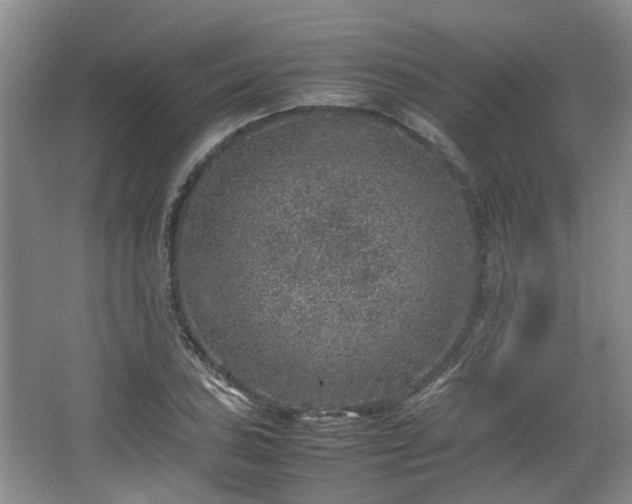 X0000067461027200604101127